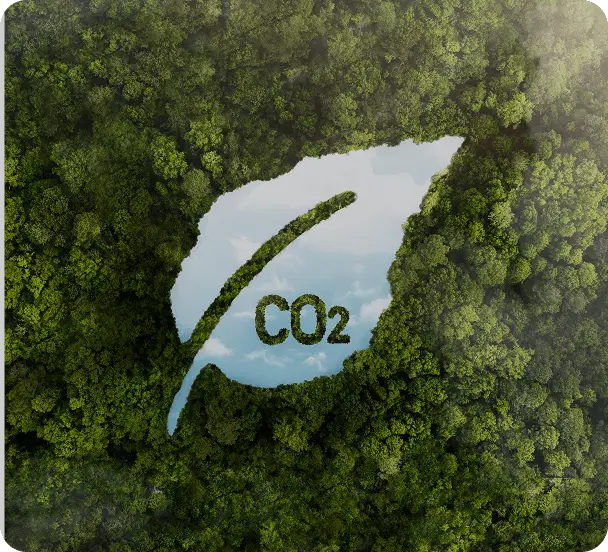 co2 symboiserende skov grafik